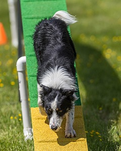Jaxx Erskine