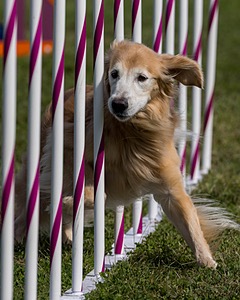 20230916-PVKC-1193.jpg