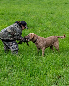 20170603-SHRL-0774.jpg