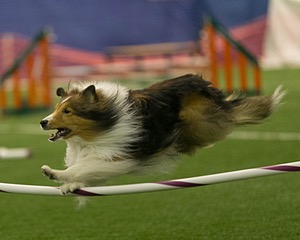 20150321-LEAP-1401.jpg
