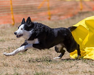 20160619-CCKC-1451.jpg
