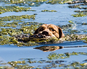 20061014-JHW-216.jpg