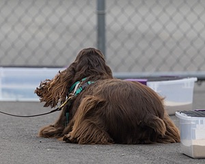 20260718-NSKC-0464.jpg