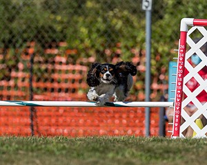 20200819-2563.jpg