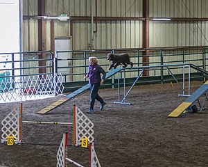 20190513-AG-0038.jpg