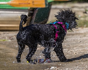 Penny Toby-Ann