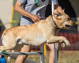 20160618-CCKC-2474.jpg