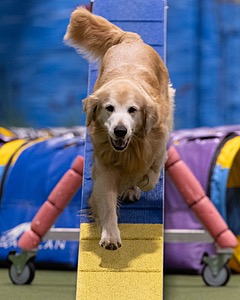 20260221-0814.jpg