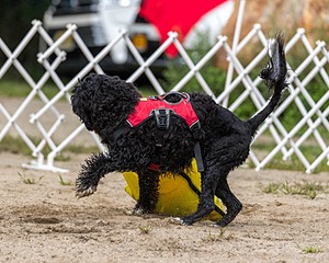 20210912-WWD-0416.jpg