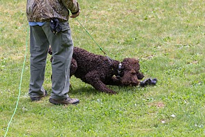 20190512-BD-0128.jpg