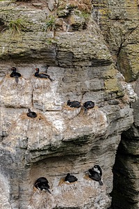 20191214-0364.jpg