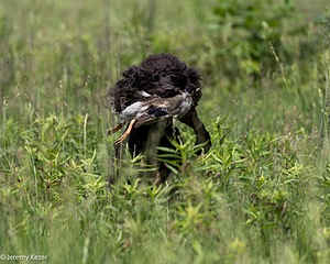 Ghillie Kezer
