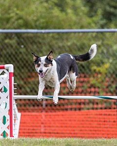 20200819-1490.jpg