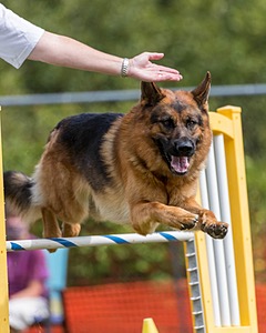 20200819-1354.jpg