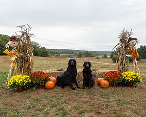 20161008-P-0019.jpg