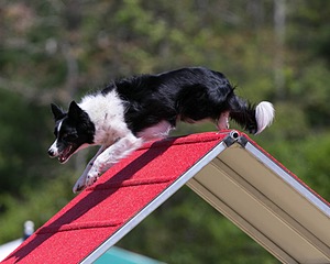 20150613-CCKC-0197.jpg