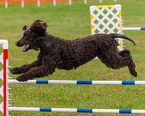 20190926-0030.jpg
