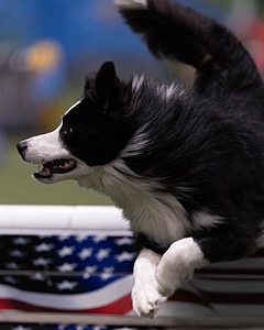 20260221-0146.jpg