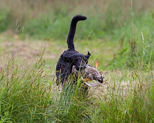 20130713-MHB2-0166.jpg