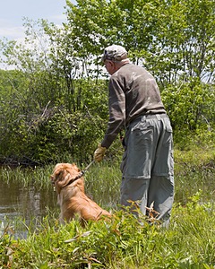 Sunfire Padraig of Golden Pond