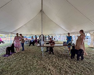 20250928-WC-0201.jpg