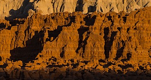 20241021-0398.jpg