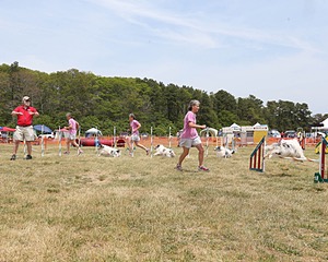 20150612-CCKCMC-0037.jpg