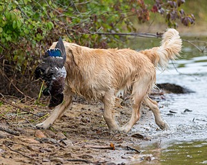 20161008-WCXW-0034.jpg