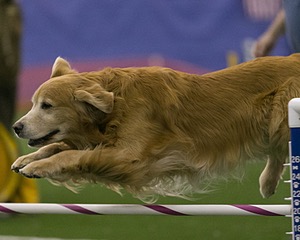 20150321-LEAP-0325.jpg