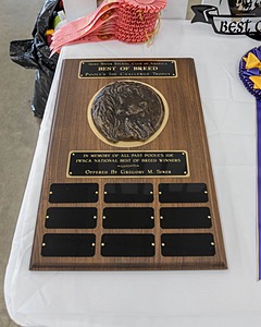 20190515-C-0005.jpg