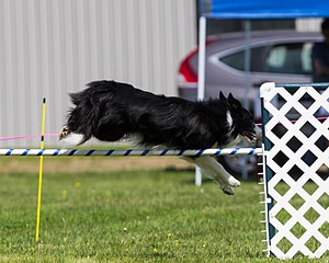 20160514-NEAT-1141.jpg
