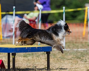 20160619-CCKC-1270.jpg