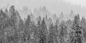 Yellowstone National Park, Montana