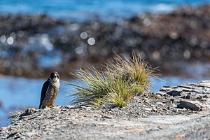 20191218-1027.jpg