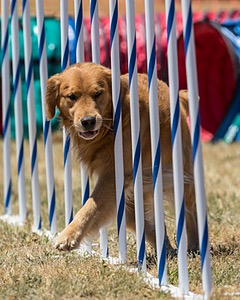 20160618-CCKC-1338.jpg