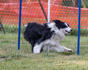 20200819-2876.jpg