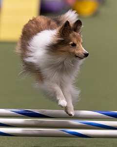 20260221-0458.jpg