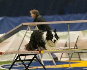 20150321-LEAP-0944.jpg
