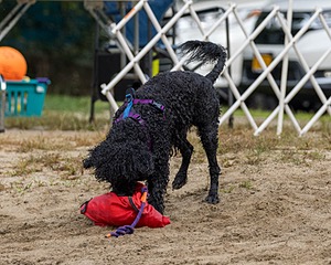 20210912-MWD-0117.jpg