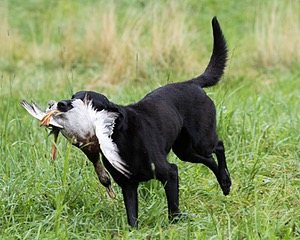 20170805-MH1-2888.jpg