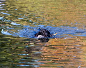 20191005-WCW-0011.jpg