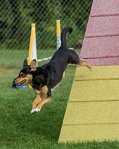 20200819-0291.jpg