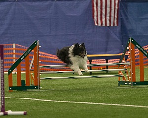 20150321-LEAP-1339.jpg