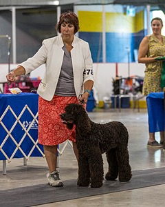 278 - Poole's Ide Making A Splash At Chantico (Iskha)