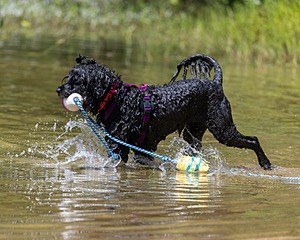 Winnie Lattrell