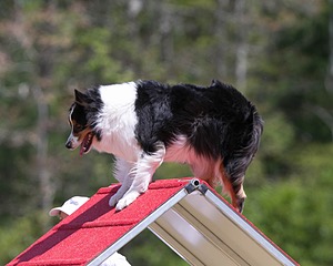 20150613-CCKC-0183.jpg