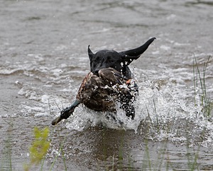 20080531-HRW-1129.jpg