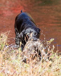 20201011-WCIW-0014.jpg