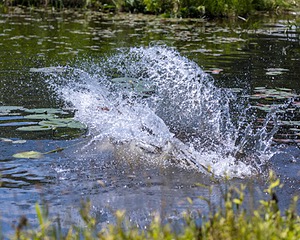 20210606-SEAW-1151.jpg