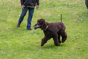 20190512-BD-0093.jpg